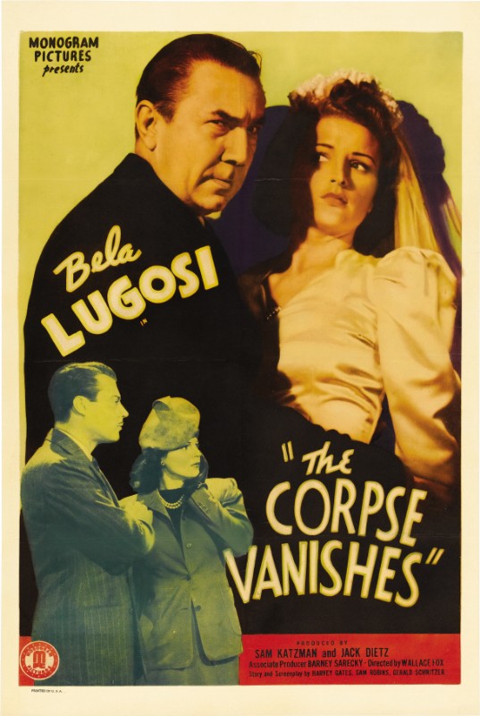 Repro 30x40cm - CORPS DISPARUS - U.S.