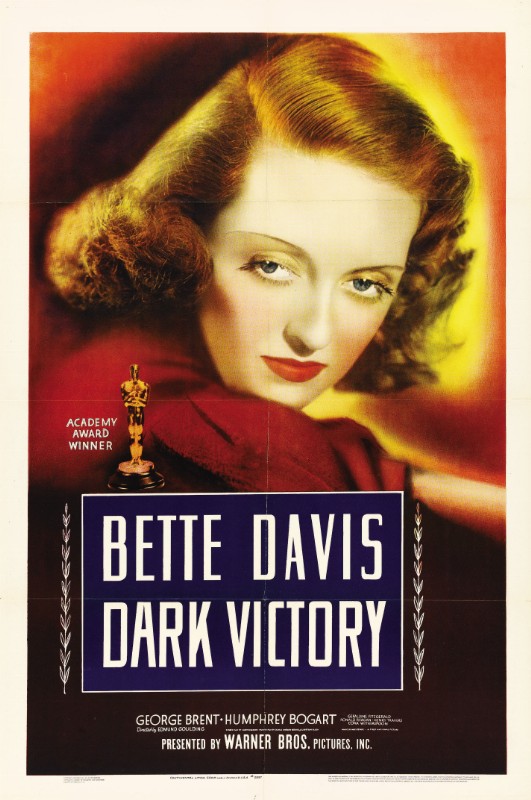 Repro 30x40cm - VICTOIRE SUR LA NUIT - U.S.