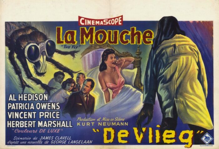 Repro 30x40cm - MOUCHE NOIRE (la) - Belge