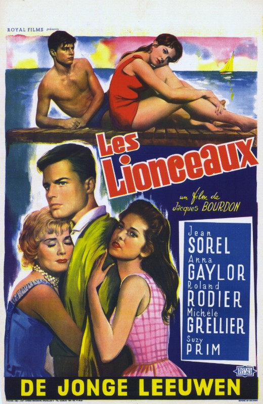Repro 30x40cm - LIONCEAUX (les) - Belge