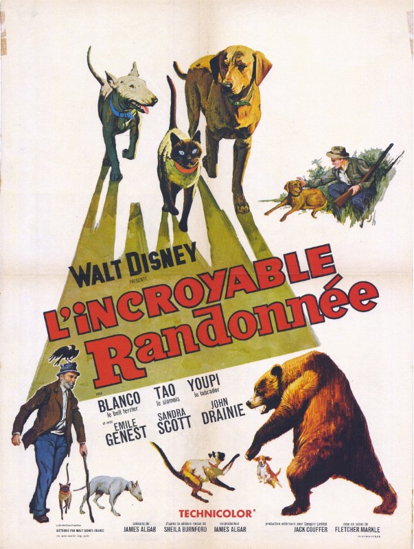Affiche - INCROYABLE RANDONNEE (l') - 60x80cm