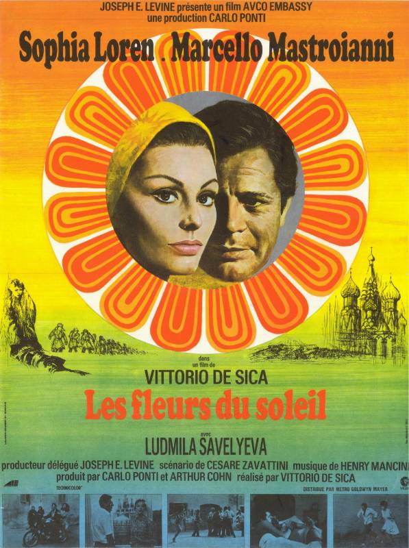 Affiche - FLEURS DU SOLEIL (les) - 40x60cm