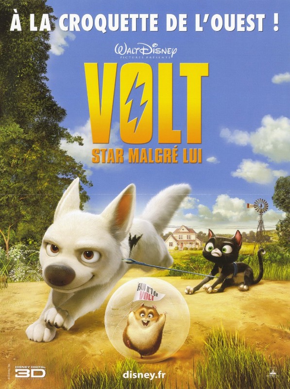Affiche - VOLT STAR MALGRE LUI - 40x55cm