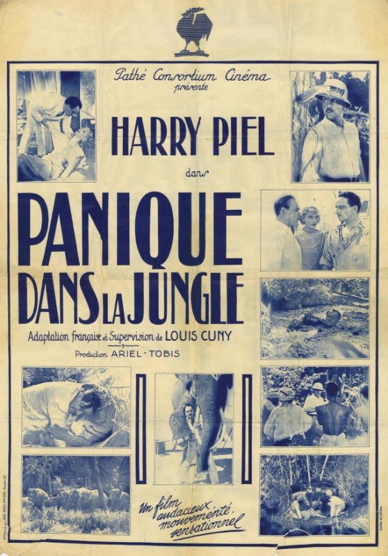 Affiche - PANIQUE DANS LA JUNGLE - 80x120cm