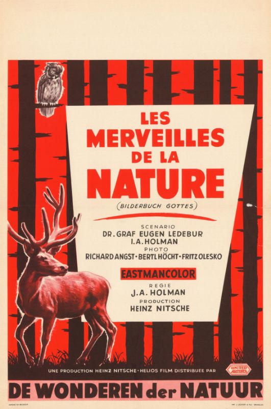 Affiche - MERVEILLES DE LA NATURE (les) - 36x56cm