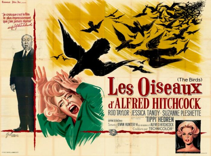Affiche - OISEAUX (les) - 240x320cm