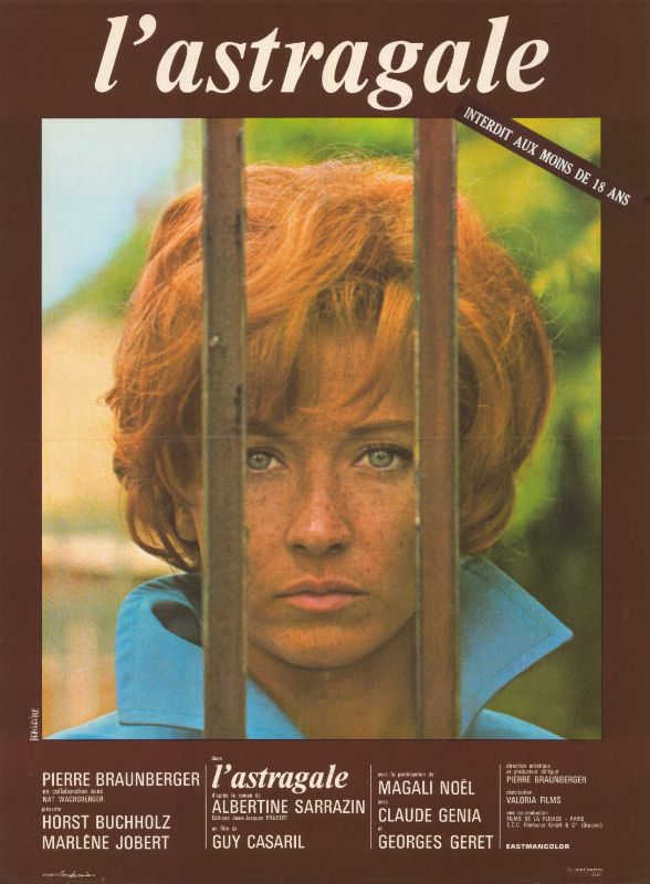 Affiche - ASTRAGALE (l') - 60x80cm