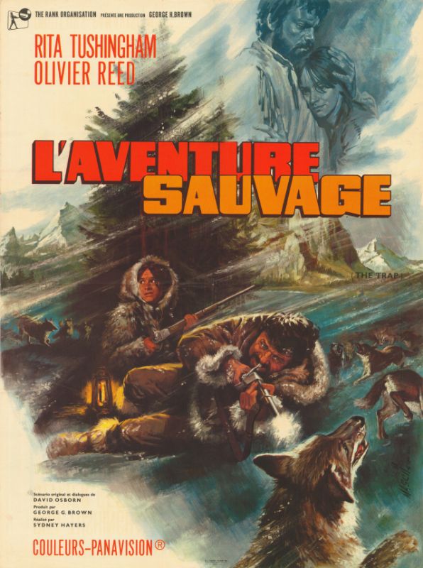 Affiche - AVENTURE SAUVAGE (l') - 60x80cm