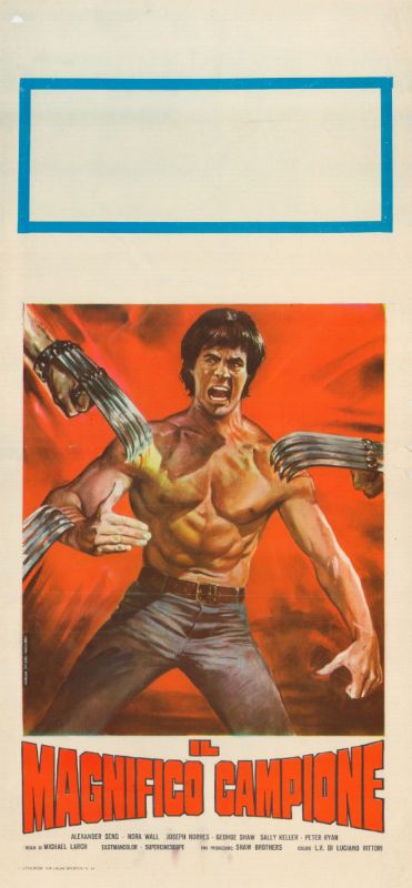 Affiche - CAI LI FA XIAO ZI - 33x71cm