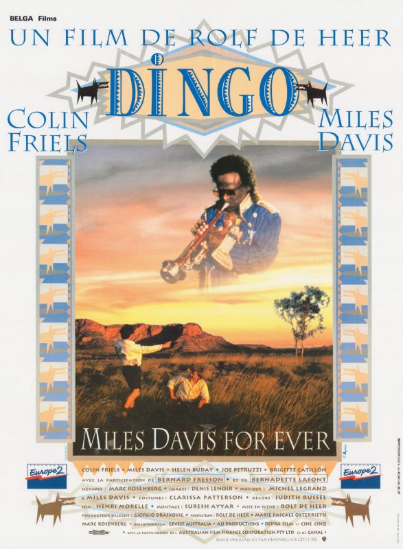 Affiche - DINGO - 40x55cm