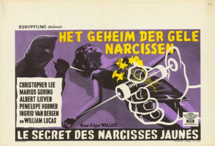 Affiche - SECRET DES NARCISSES JAUNES (le) - 36x56cm