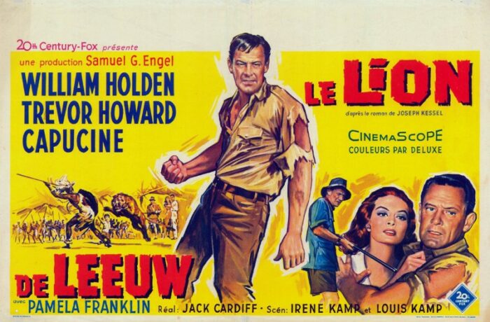 Affiche - LION (le) - 36x56cm