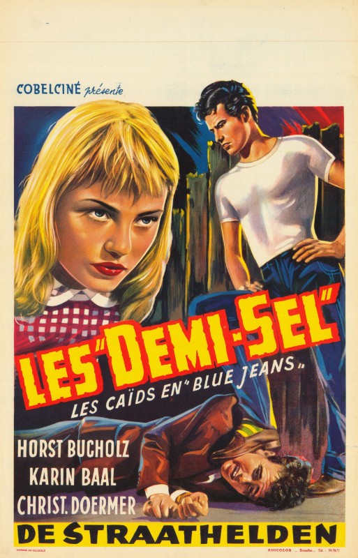 Repro 30x40cm - DEMI-SEL (les) - Belge