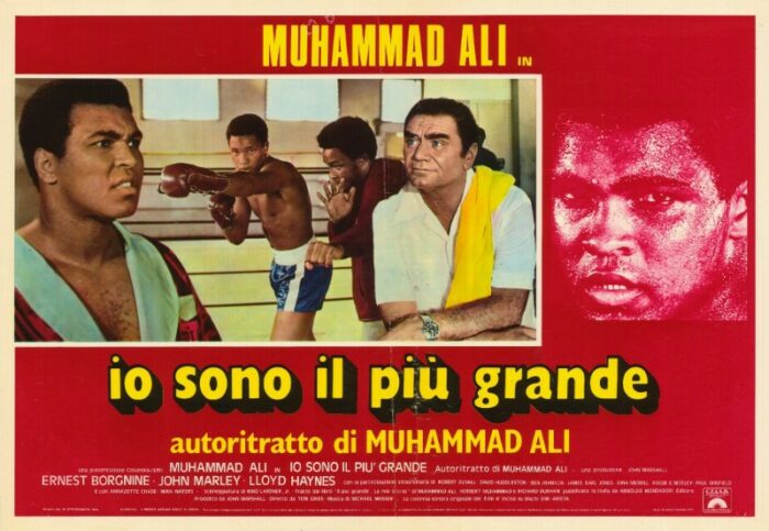 Affiche - GREATEST (the) - 47x66cm C