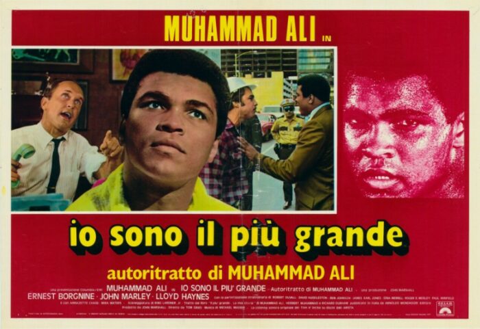 Affiche - GREATEST (the) - 47x66cm