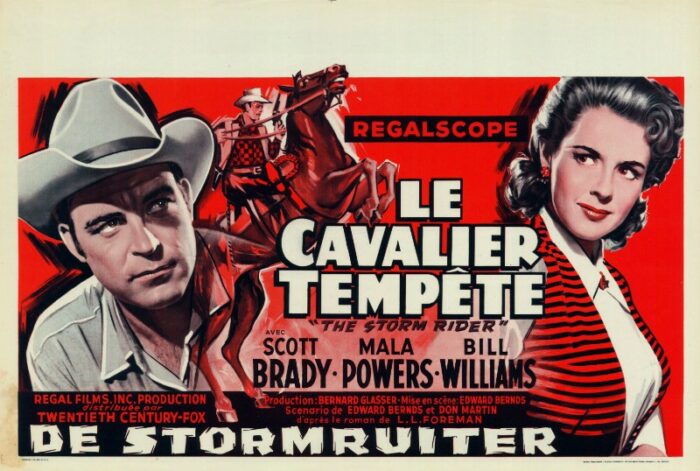 Affiche - STORM RIDER (the) - 36x56cm