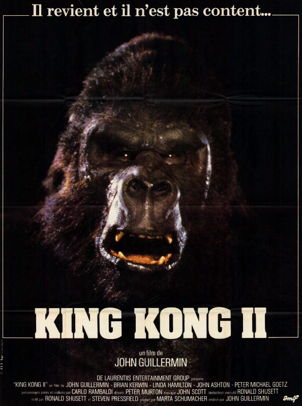Affiche - KING KONG 2 - 120x160cm