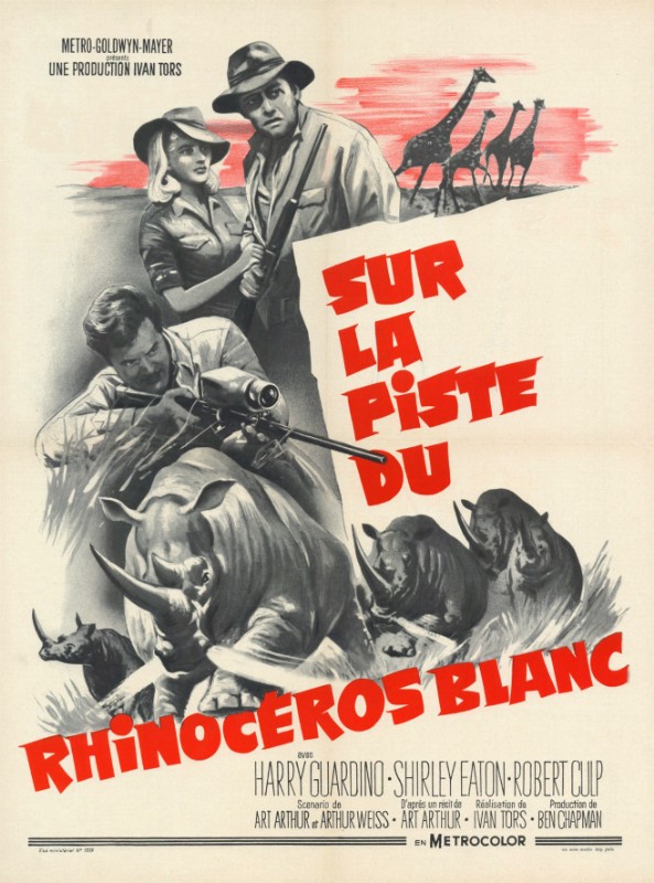 Affiche - SUR LA PISTE DU RHINOCEROS BLANC - 60x80cm