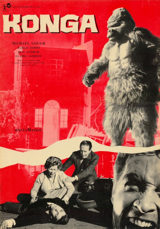 Affiche - KONGA - 47x66cm