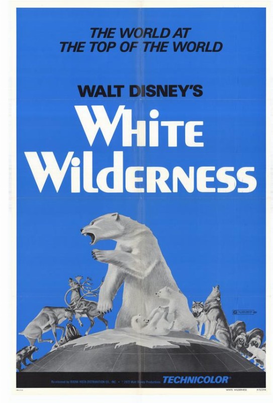 Affiche - WHITE WILDERNESS - 70x105cm
