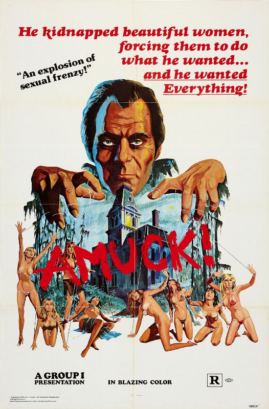 Affiche - ALLA RICERCA DEL PIACERE - 70x105cm