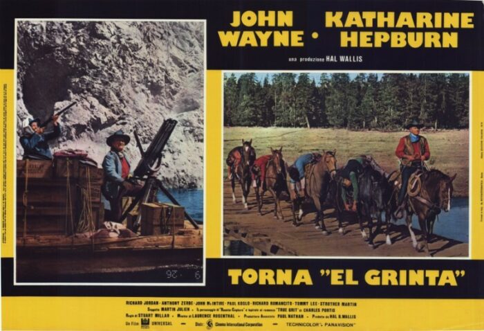 Affiche - UNE BIBLE ET UN FUSIL - 47x66cm