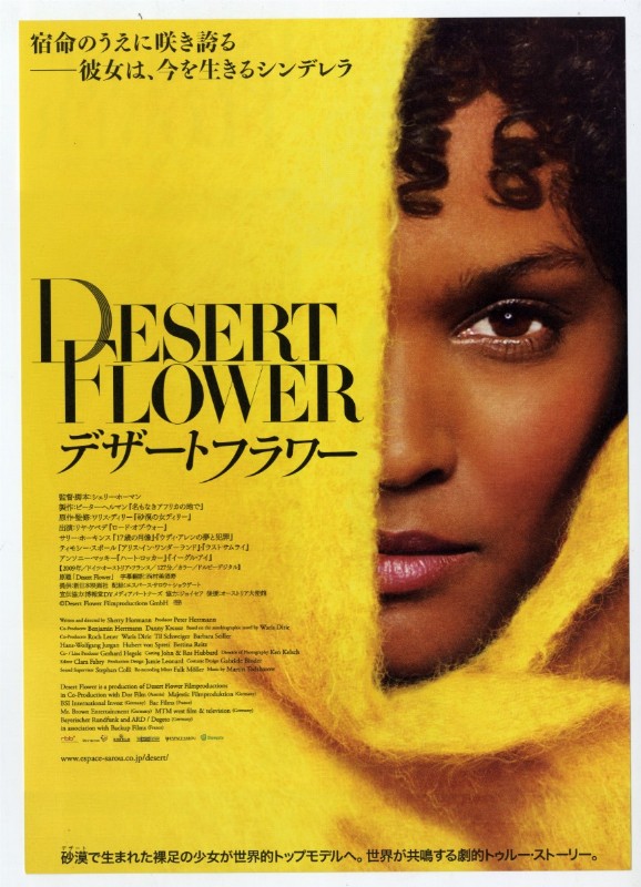 Programme - FLEUR DU DESERT - 20x25cm