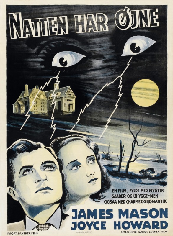 Repro 30x40cm - NIGHT HAS EYES (the) - Danoise