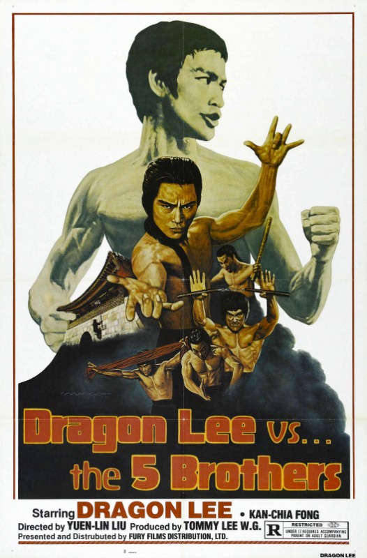 Affiche - REVOLTE DES KARATEKAS (la) - 70x105cm