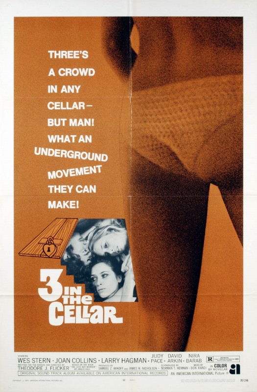 Affiche - UP IN THE CELLAR - 70x105cm
