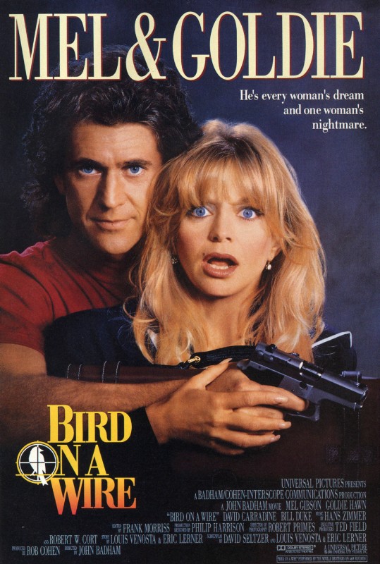 Affiche - COMME UN OISEAU SUR LA BRANCHE - 70x105cm