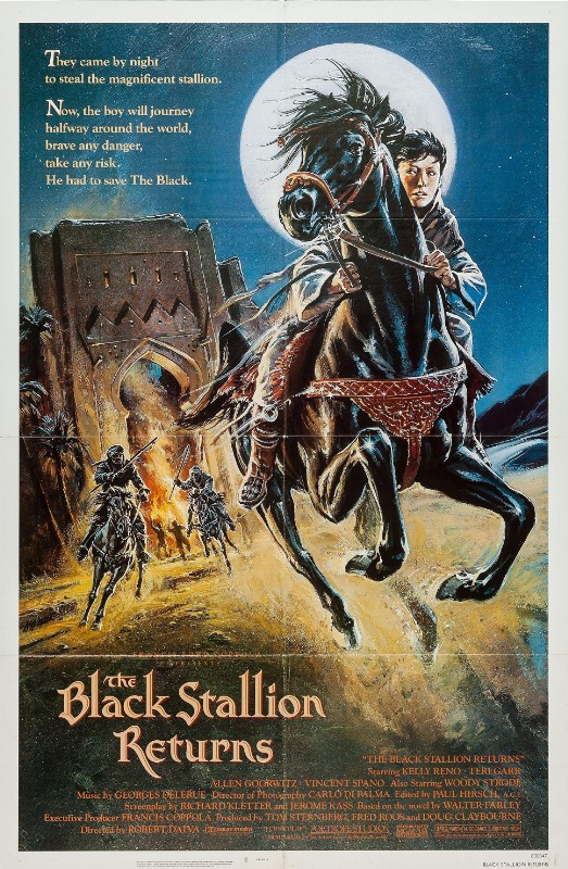 Affiche - RETOUR DE L'ETALON NOIR (le) - 70x105cm