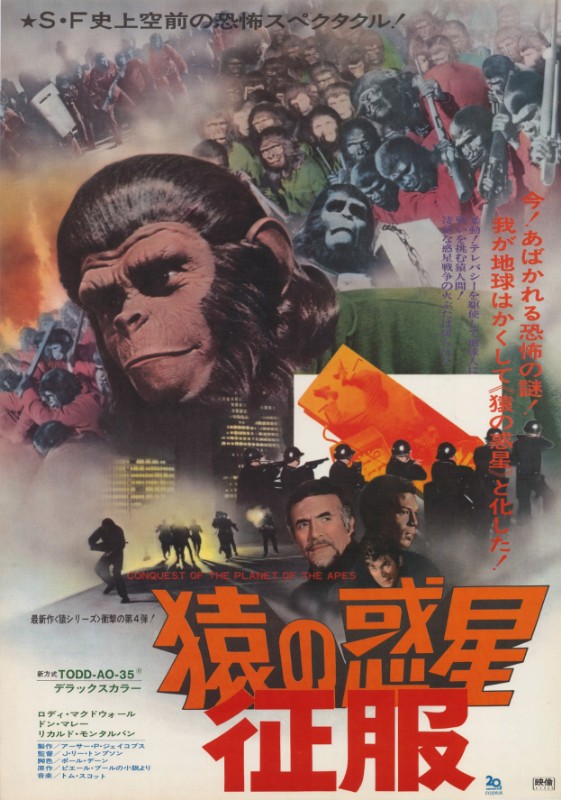 Repro 30x40cm - CONQUETE DE LA PLANETE DES SINGES (la) - Japonaise