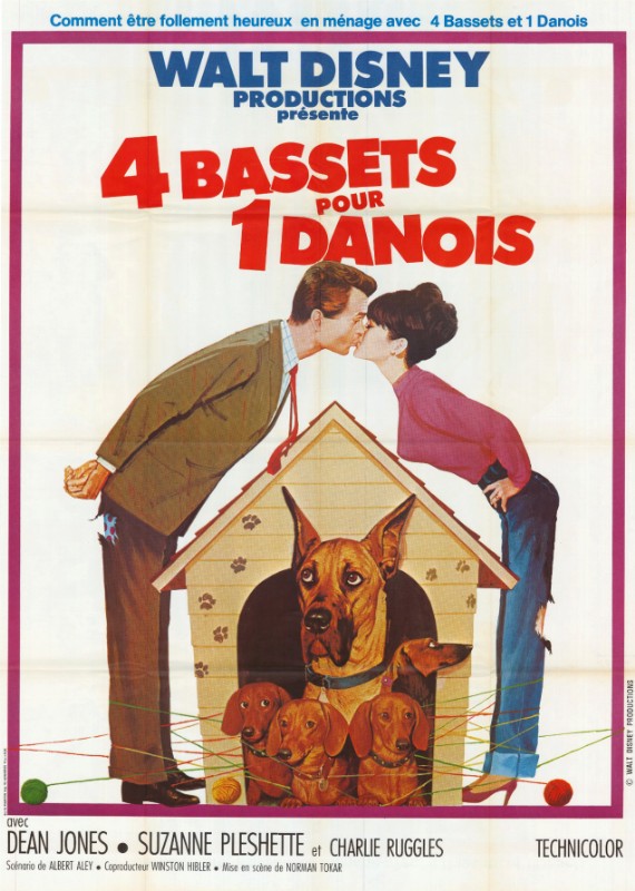 Affiche - QUATRE BASSETS POUR UN DANOIS - 120x160cm