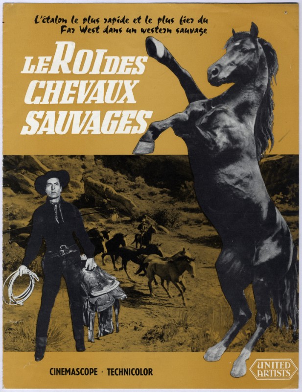 Dossier de Presse - ROI DES CHEVAUX SAUVAGES (la)