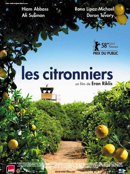 Affiche - CITRONNIERS (les) - 40x55cm