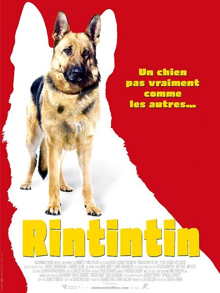 Affiche - RINTINTIN - 40x55cm