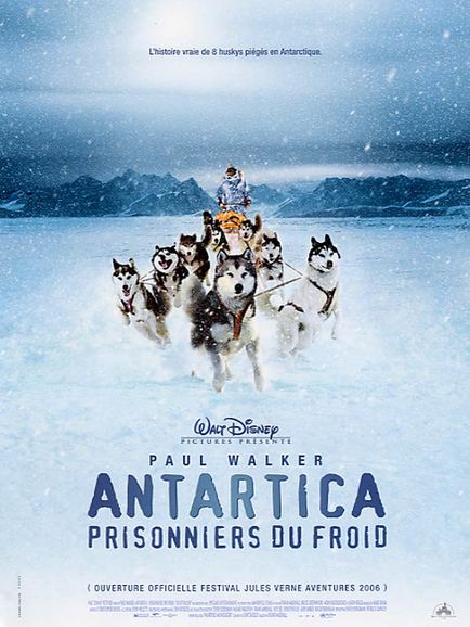 Affiche - ANTARTICA, PRISONNIERS DU FROID - 40x55cm