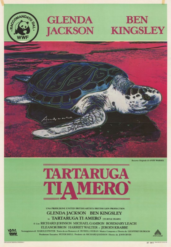 Affiche - TURTLE DIARY - 100x140cm