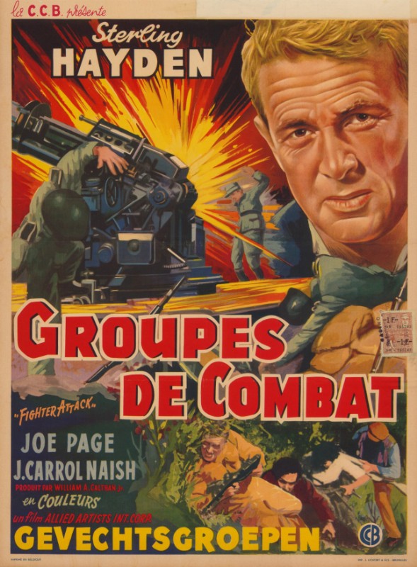Repro 30x40cm - FIGHTER ATTACK - Belge
