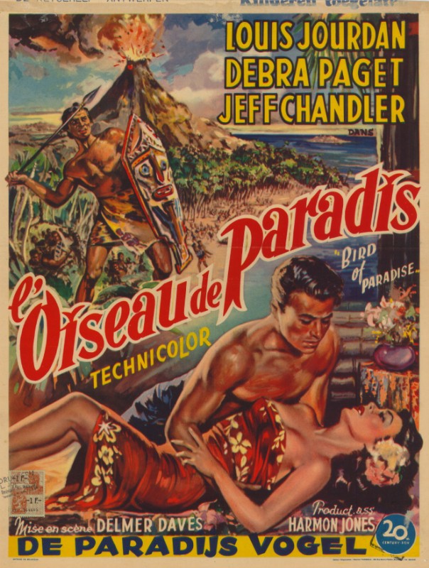 Repro 30x40cm - OISEAU DE PARADIS (l') - Belge