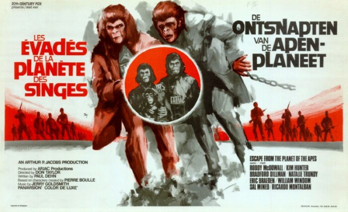 Repro 30x40cm - EVADES DE LA PLANETE DES SINGES (les) - Belge