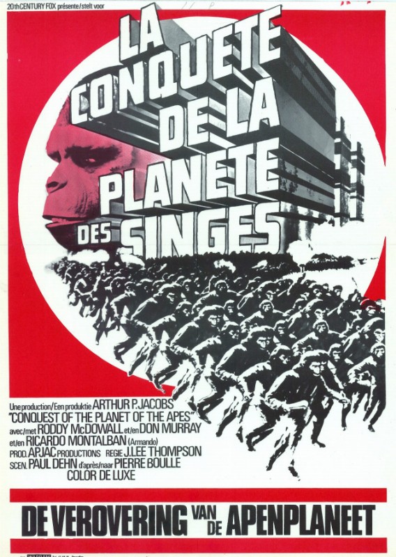 Repro 30x40cm - CONQUETE DE LA PLANETE DES SINGES (la) - Belge
