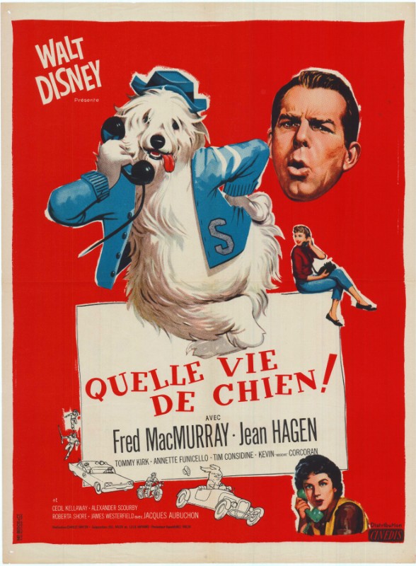 Affiche - QUELLE VIE DE CHIEN - 60x80cm