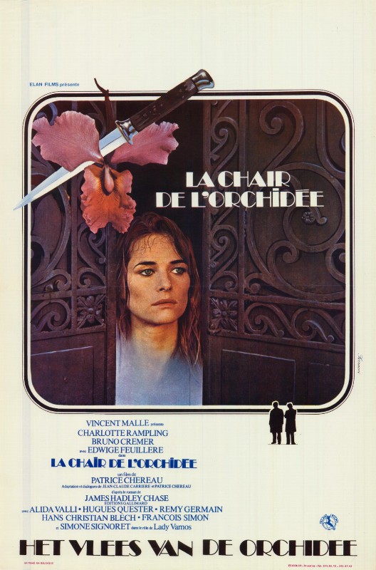 Affiche - CHAIR DE L'ORCHIDEE (la) - 36x56cm