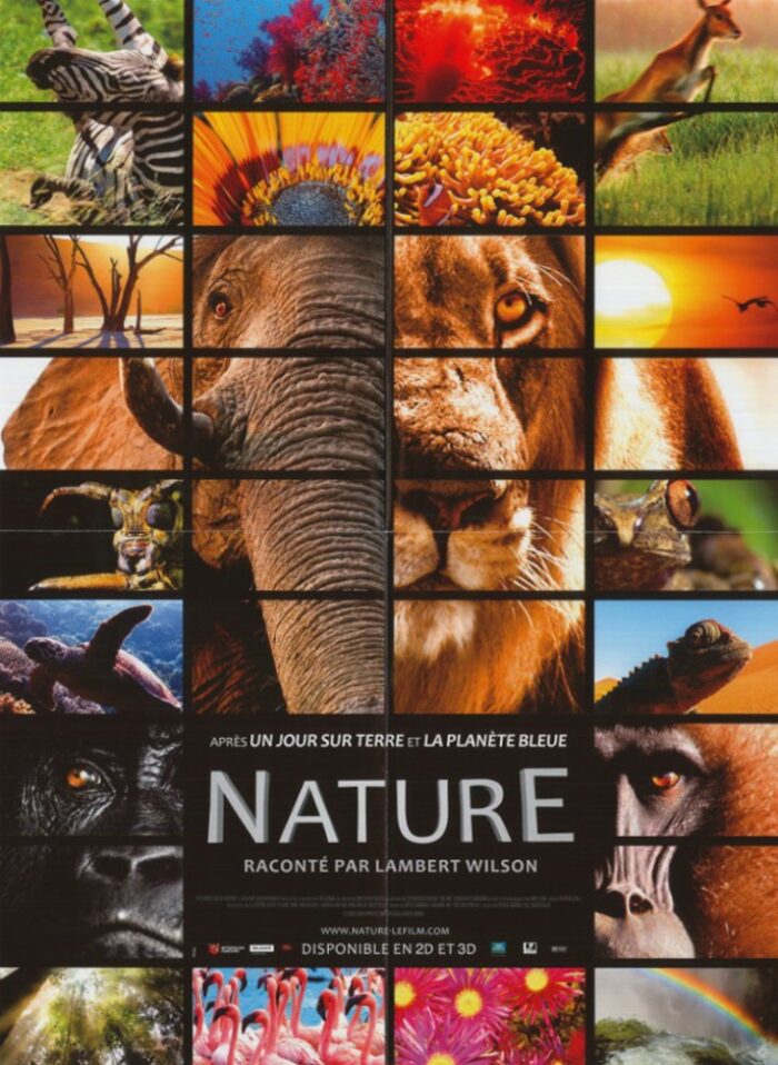 Affiche - NATURE - 40x55cm