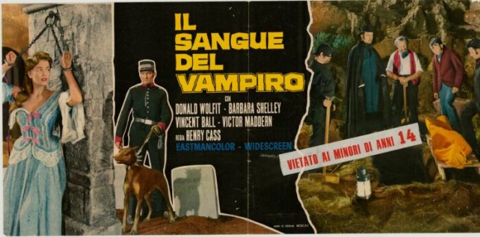 Affiche - SANG DU VAMPIRE (le) - 30x60cm F