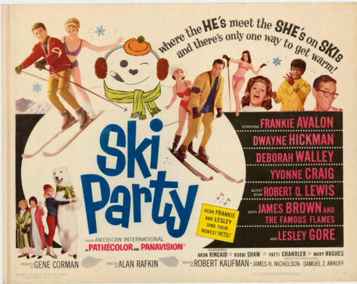 Affiche - SKI PARTY - 56x71cm
