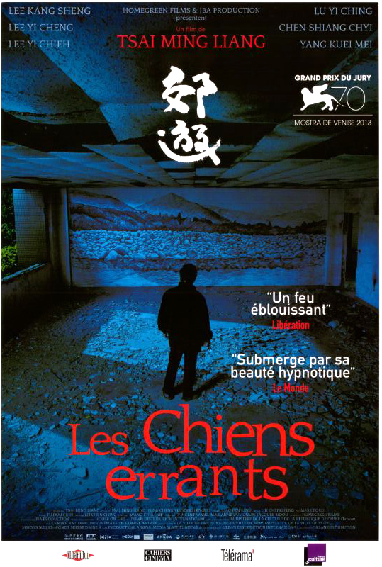 Affiche - CHIENS ERRANTS (les) - 40x55cm