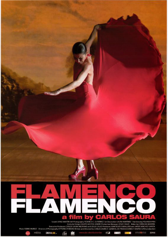Affiche - FLAMENCO, FLAMENCO - 40x60cm